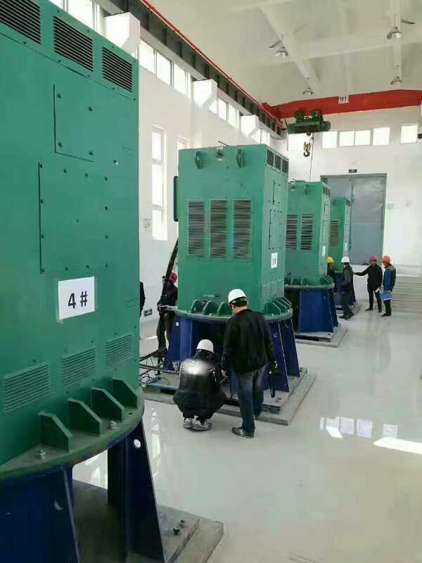 江边乡某污水处理厂使用我厂的立式高压电机安装现场