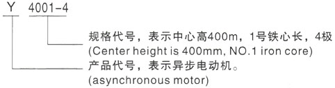 西安泰富西玛Y系列(H355-1000)高压江边乡三相异步电机型号说明